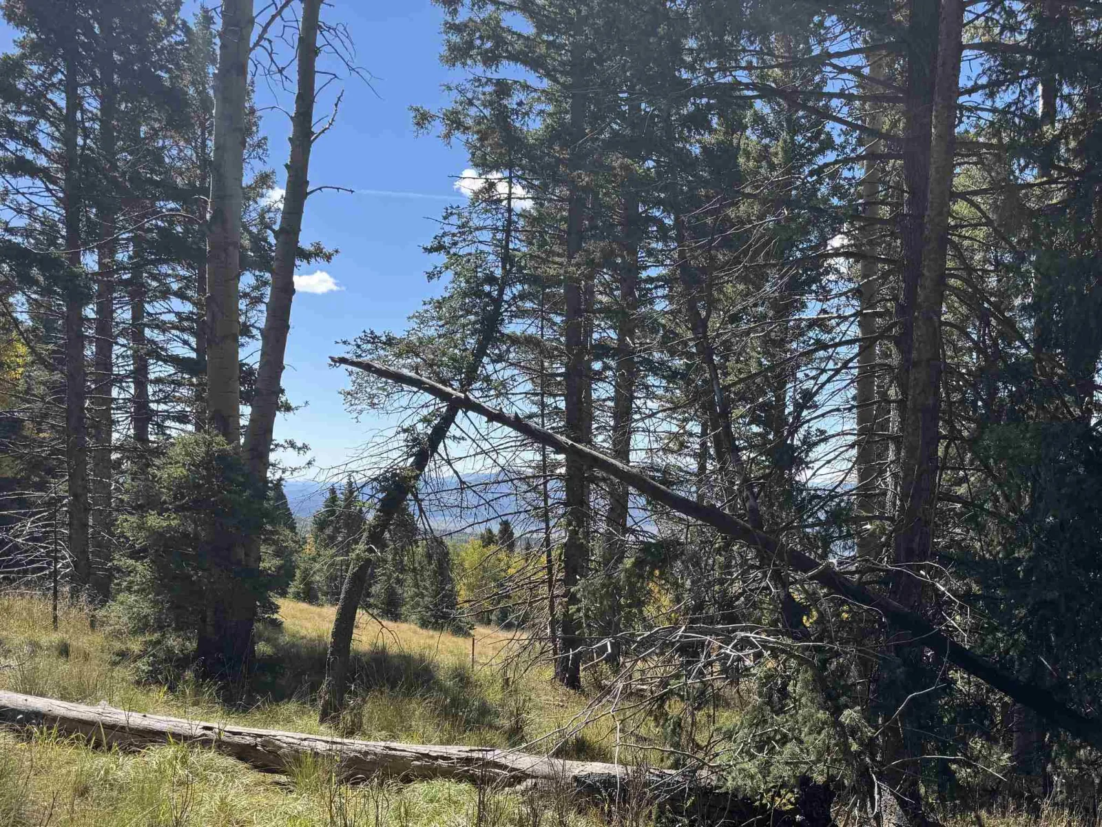 Lot 1264 Starlight Overlook