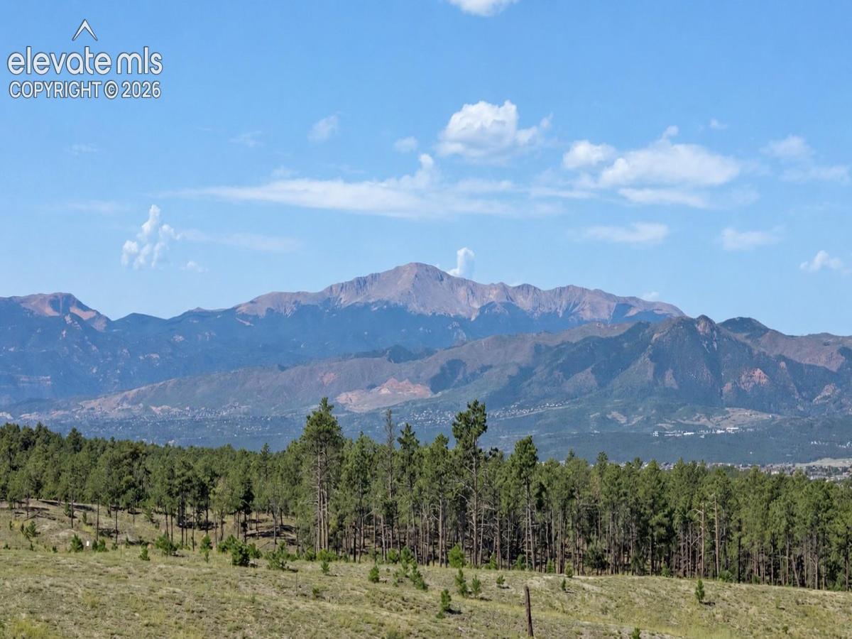 MLS #5984295 image #0