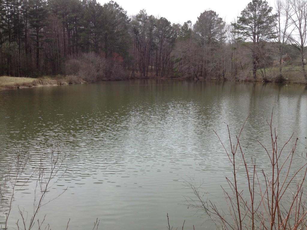 MLS #5612715 image #0