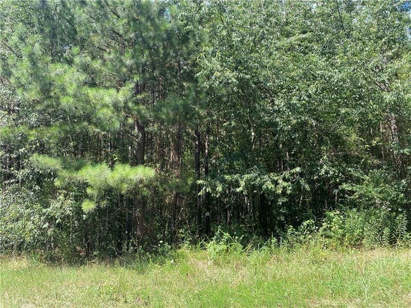 MLS #6758346 image #0