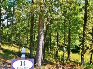 MLS #6786771 image #10