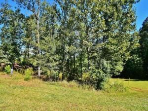 MLS #6786771 image #11