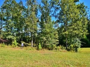 MLS #6786771 image #8