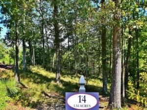 MLS #6786771 image #9