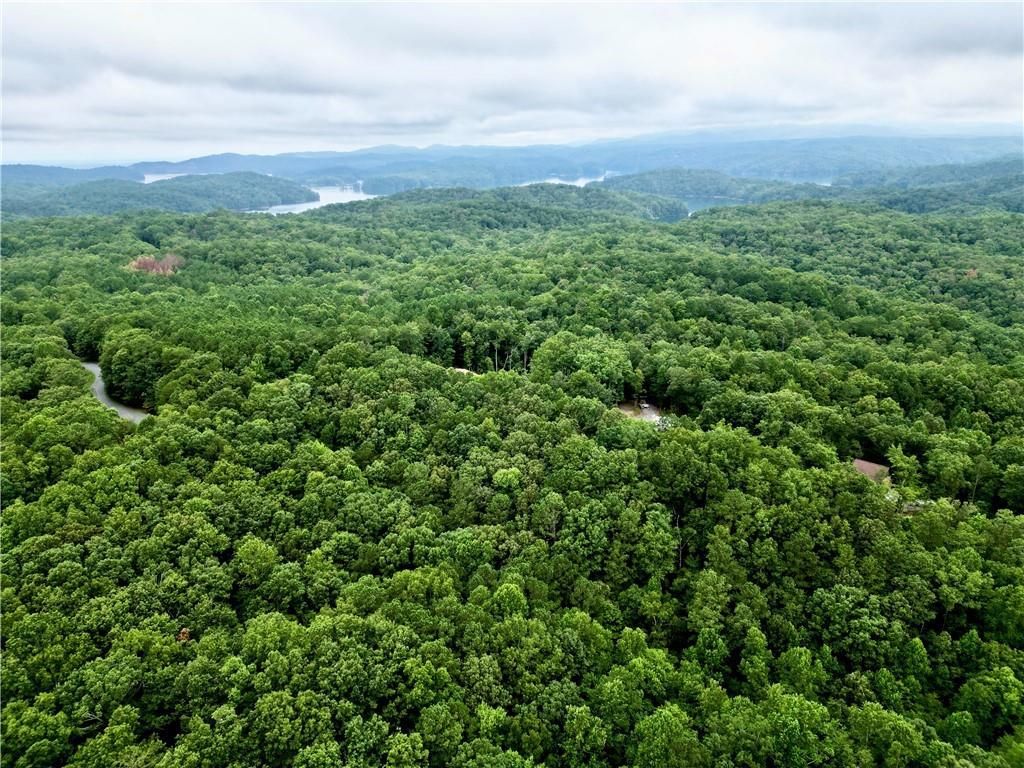 MLS #6823069 image #0