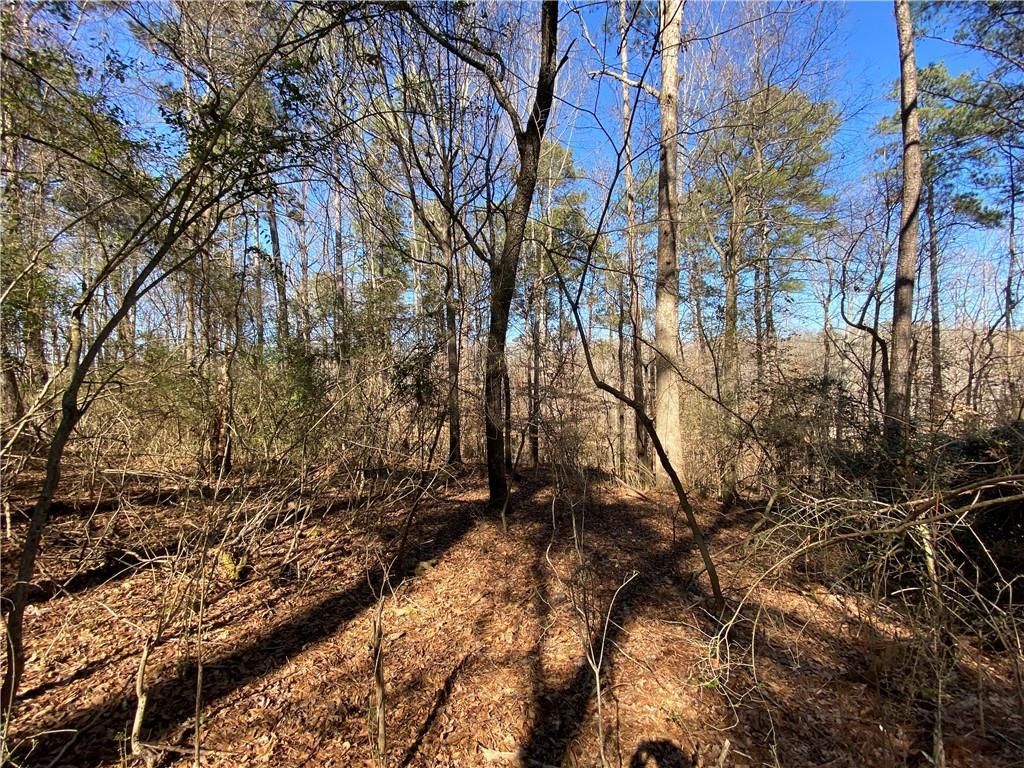 MLS #6881347 image #3