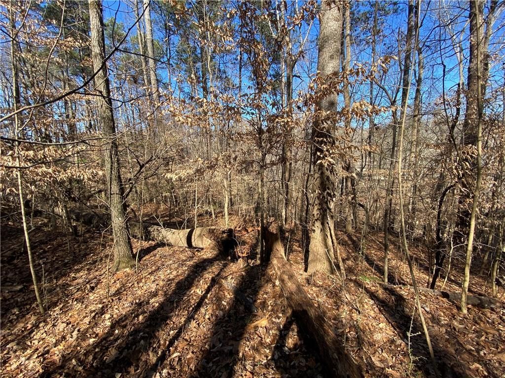 MLS #6881347 image #4