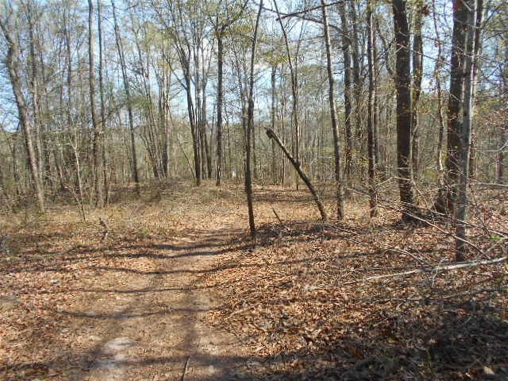 MLS #6979834 image #2