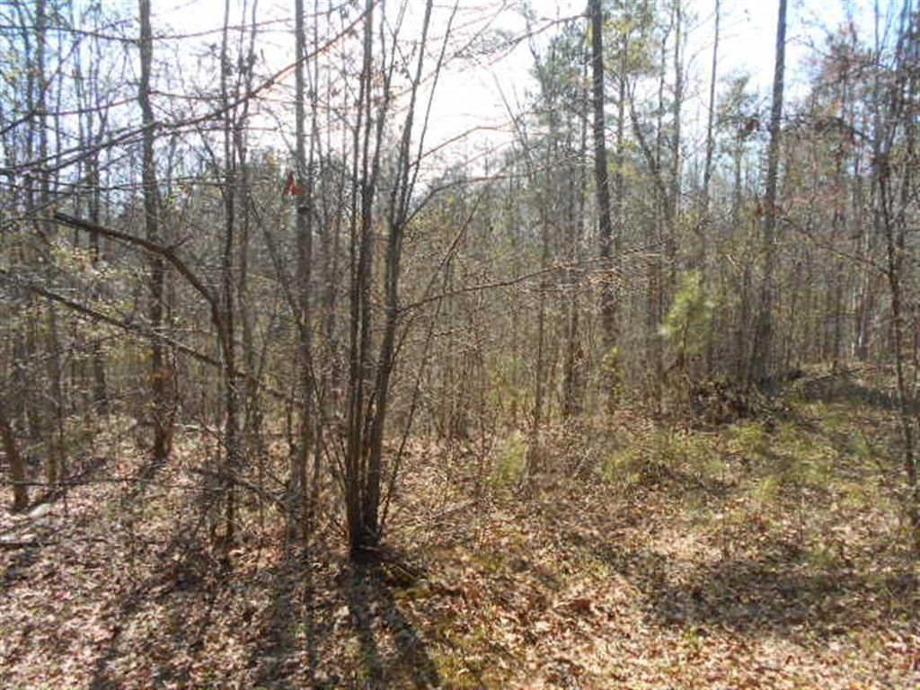 MLS #6979834 image #4