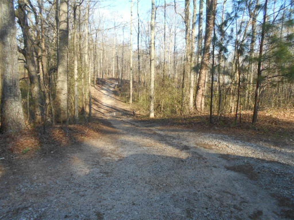 MLS #6979834 image #6