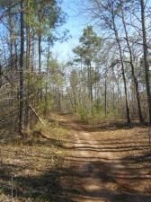 MLS #6979834 image #5