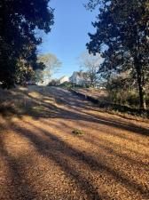 MLS #6980397 image #0