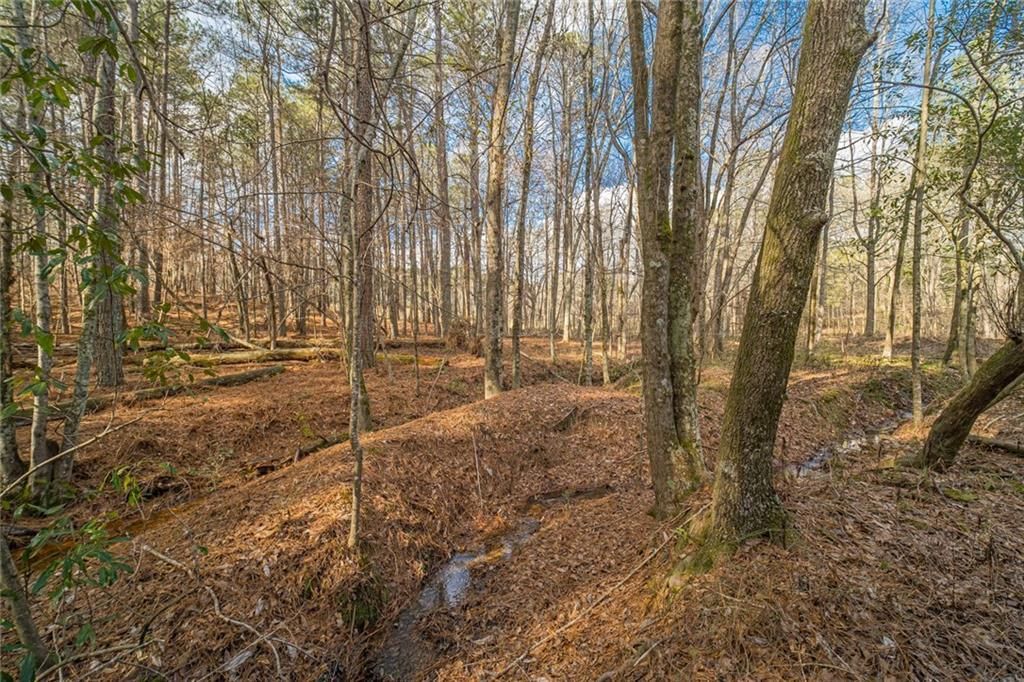 MLS #6985941 image #37