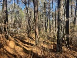 MLS #7114967 image #0