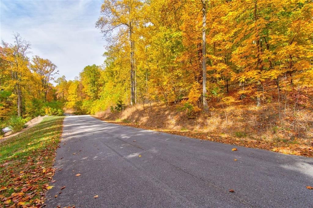 MLS #7153108 image #10