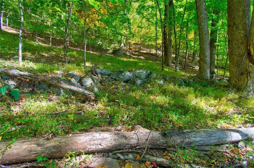 MLS #7153108 image #11