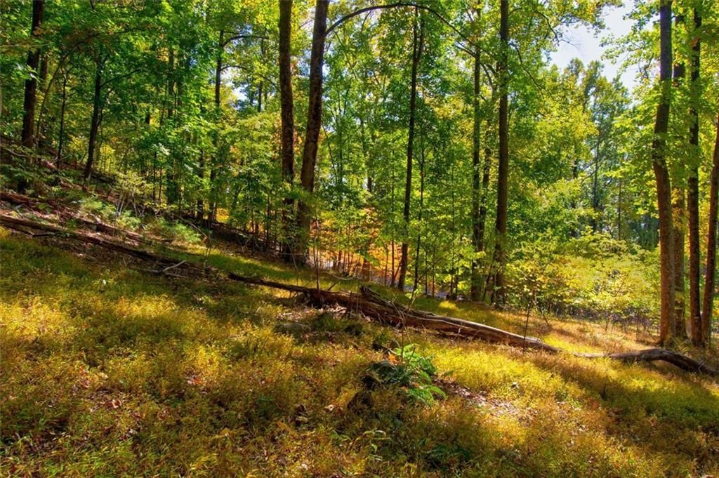 MLS #7153108 image #12