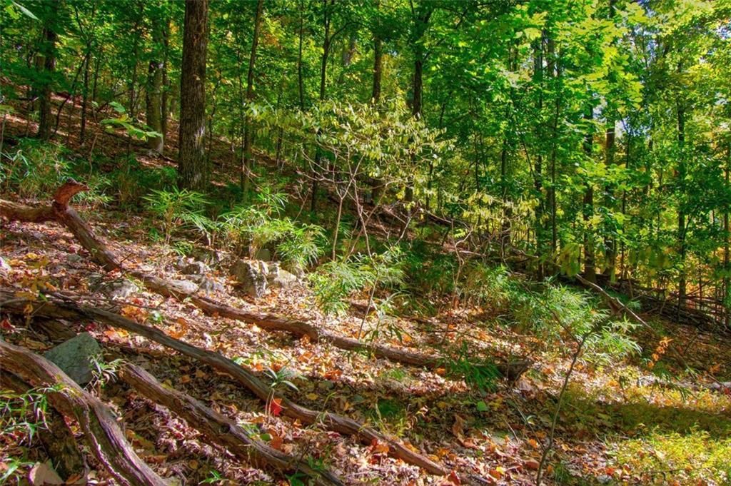 MLS #7153108 image #13