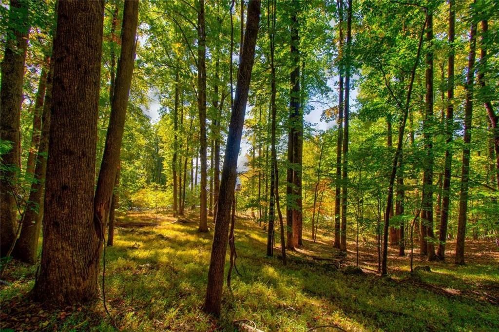 MLS #7153108 image #15