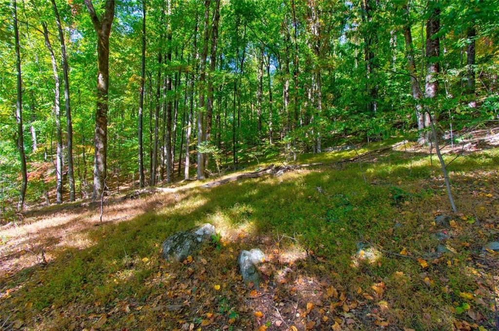 MLS #7153108 image #16