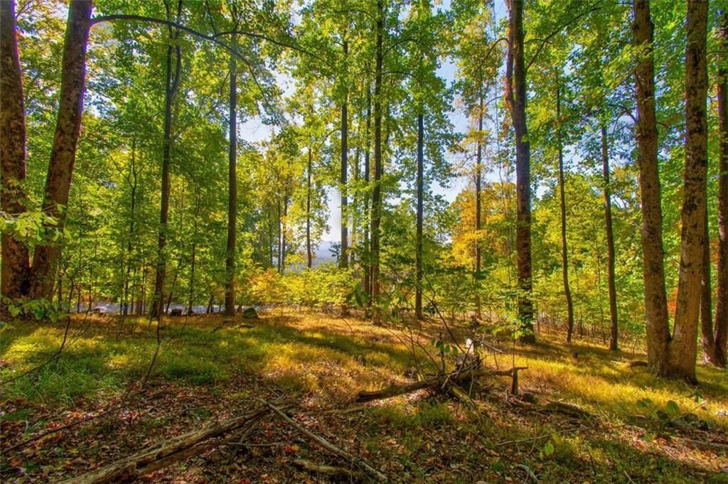 MLS #7153108 image #17