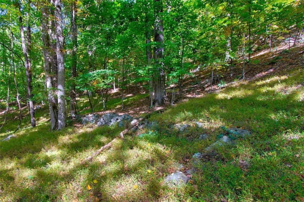 MLS #7153108 image #18