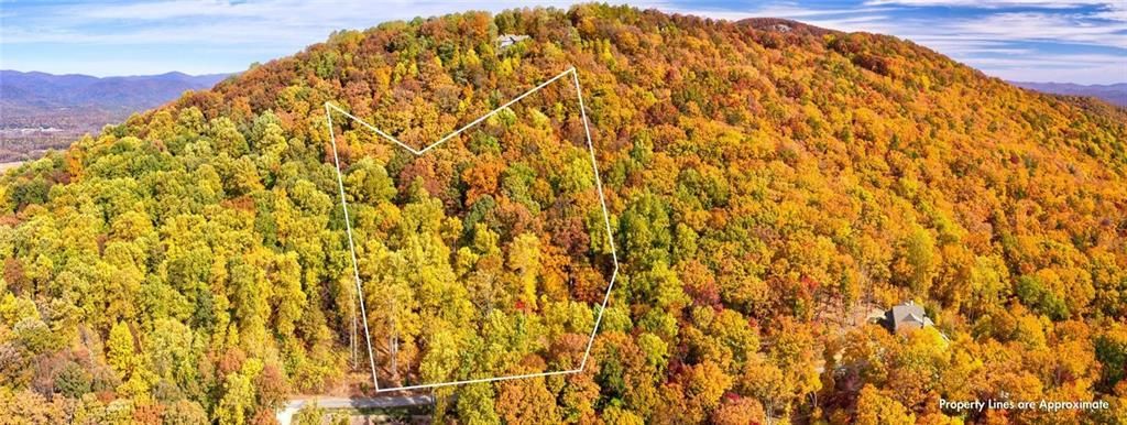 MLS #7153108 image #40