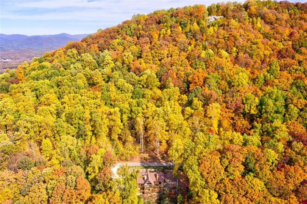 MLS #7153108 image #41