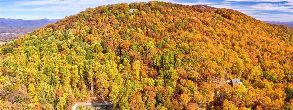 MLS #7153108 image #43