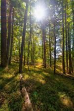 MLS #7153108 image #14