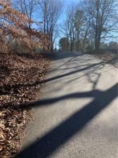 MLS #7174145 image #1