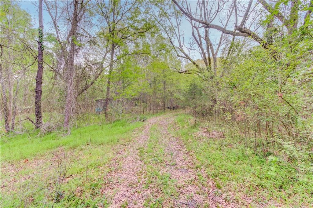 MLS #7199776 image #10