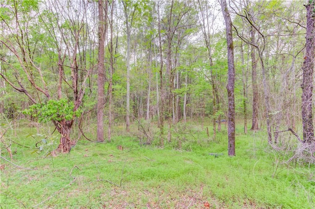 MLS #7199776 image #12