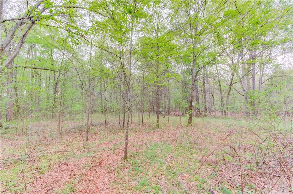 MLS #7199776 image #16