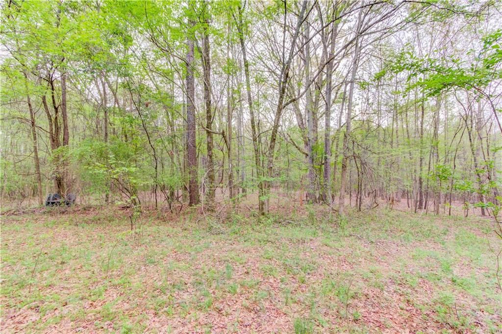 MLS #7199776 image #17