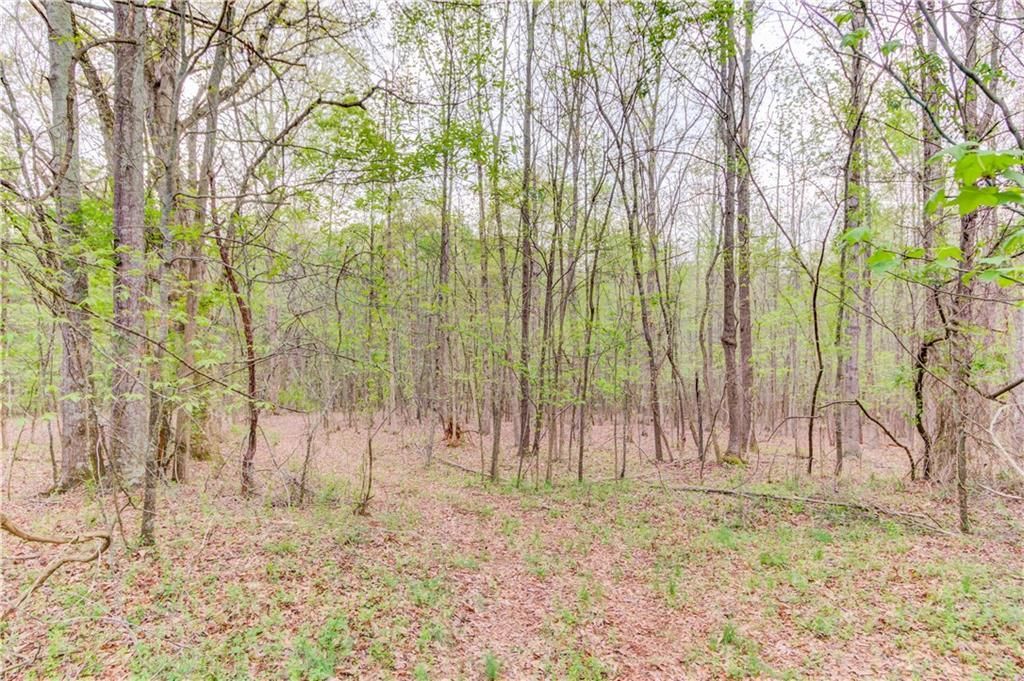 MLS #7199776 image #18