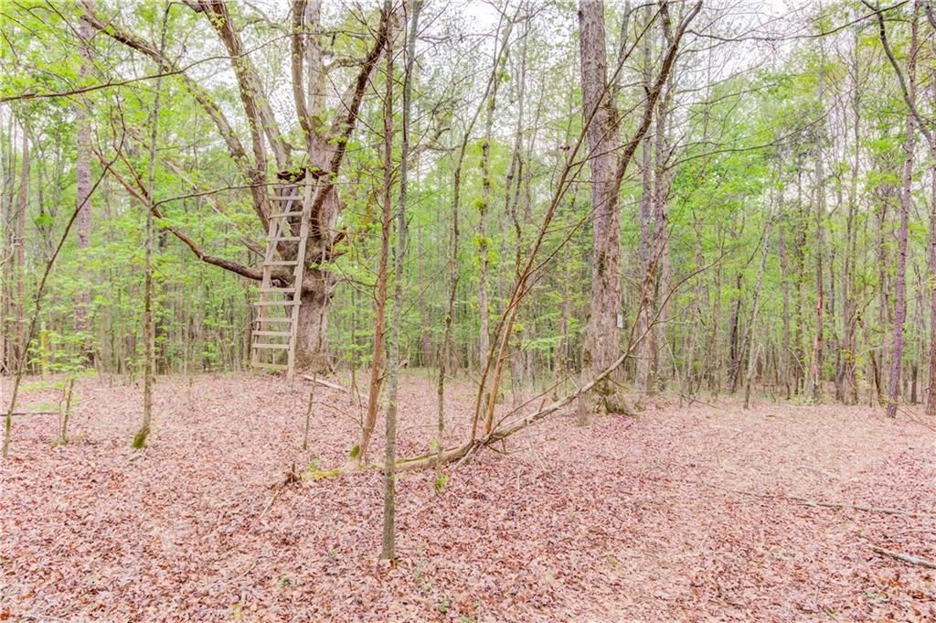 MLS #7199776 image #19