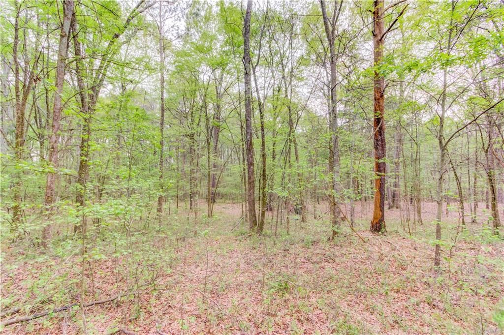 MLS #7199776 image #20