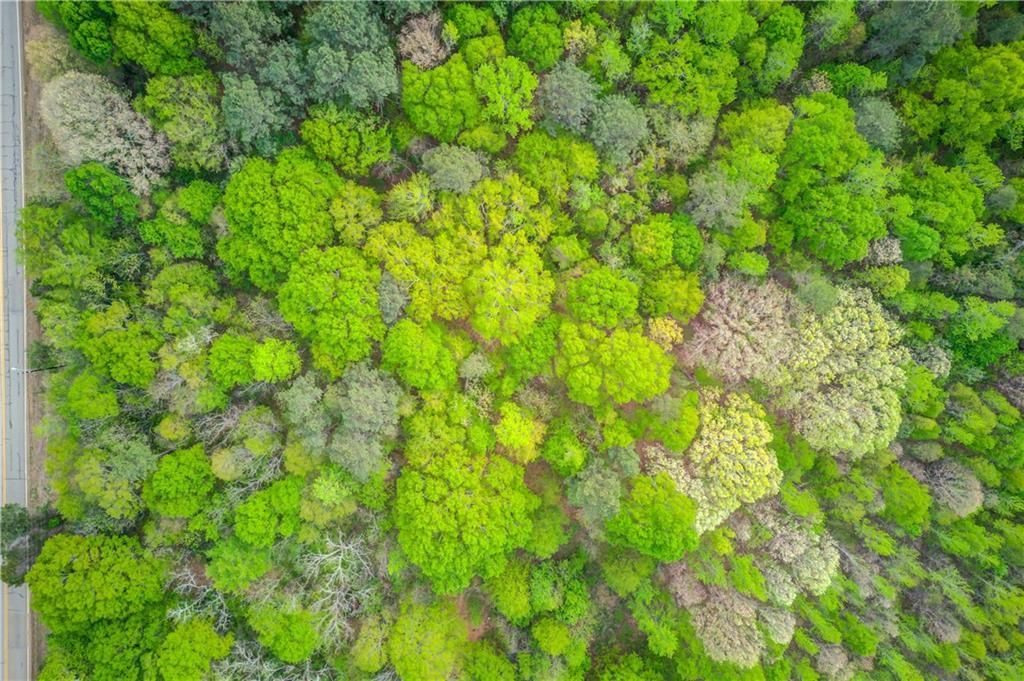 MLS #7199776 image #23