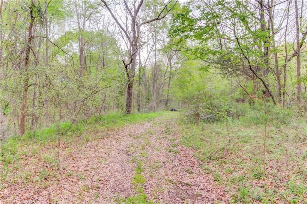 MLS #7199776 image #9