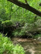 MLS #7215152 image #0