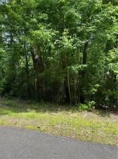 MLS #7224769 image #6