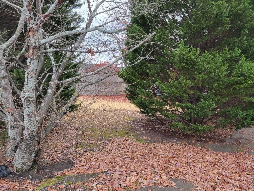 MLS #7234131 image #8