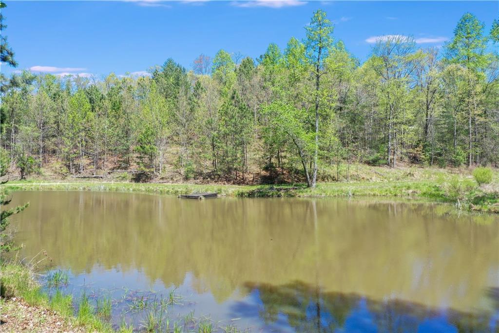 MLS #7249906 image #11