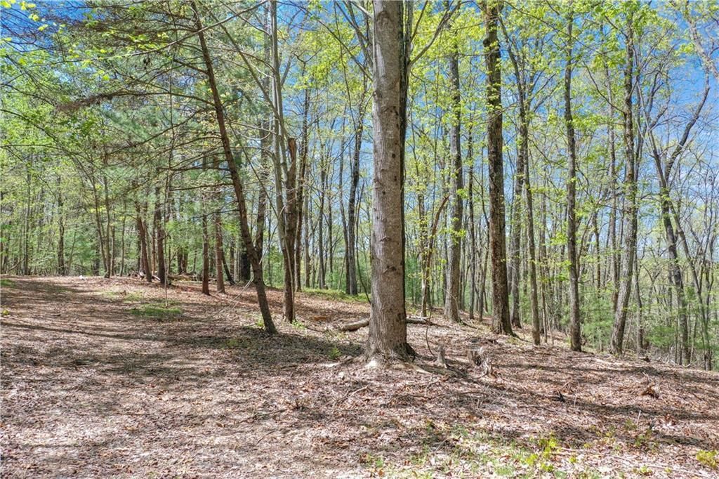 MLS #7249906 image #16