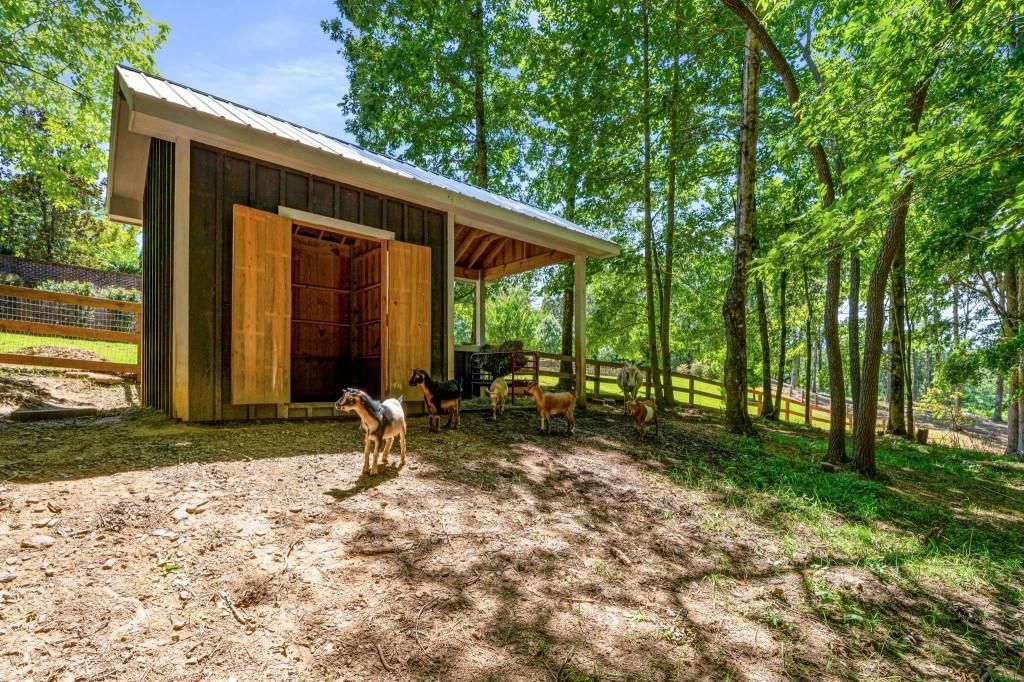 MLS #7256944 image #79