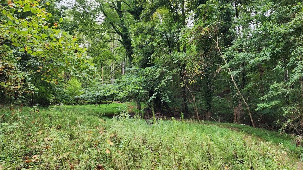 MLS #7266969 image #11