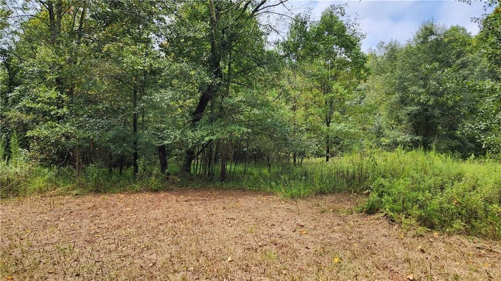 MLS #7266969 image #17