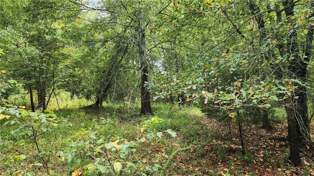 MLS #7266969 image #18