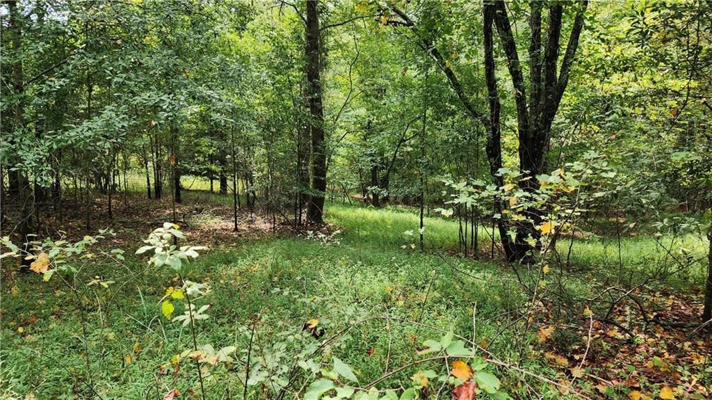 MLS #7266969 image #19